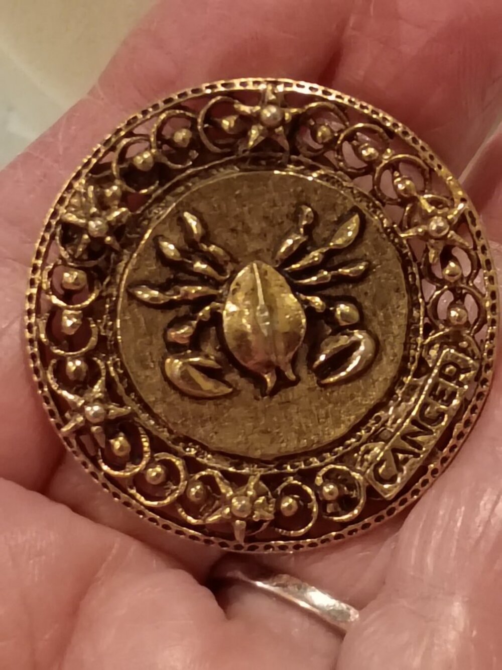 Vintage ART Arthur Pepper Cancer Brooch Clip Bronzed Goldtone Crab Signed